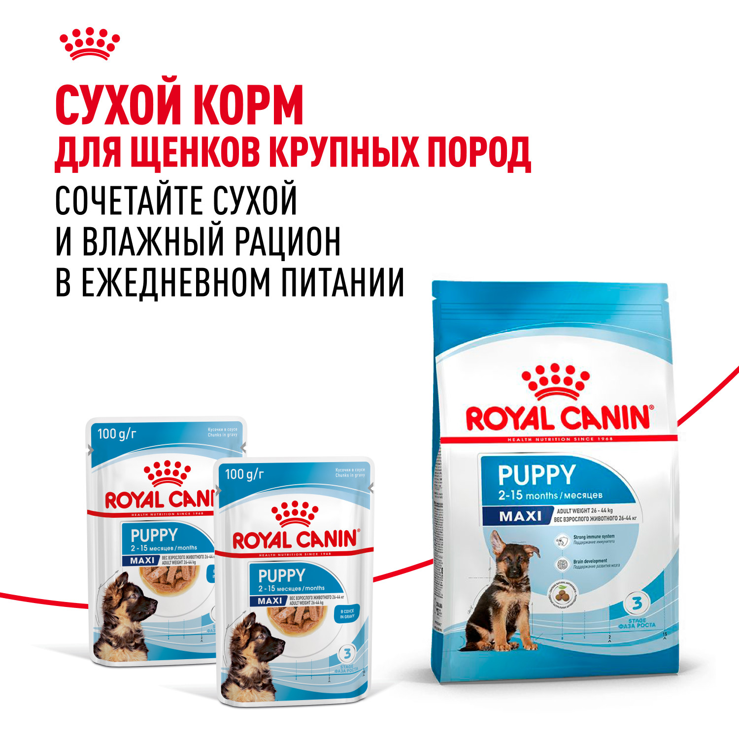 Корм для щенков ROYAL CANIN для крупных пород до 15 месяцев пауч