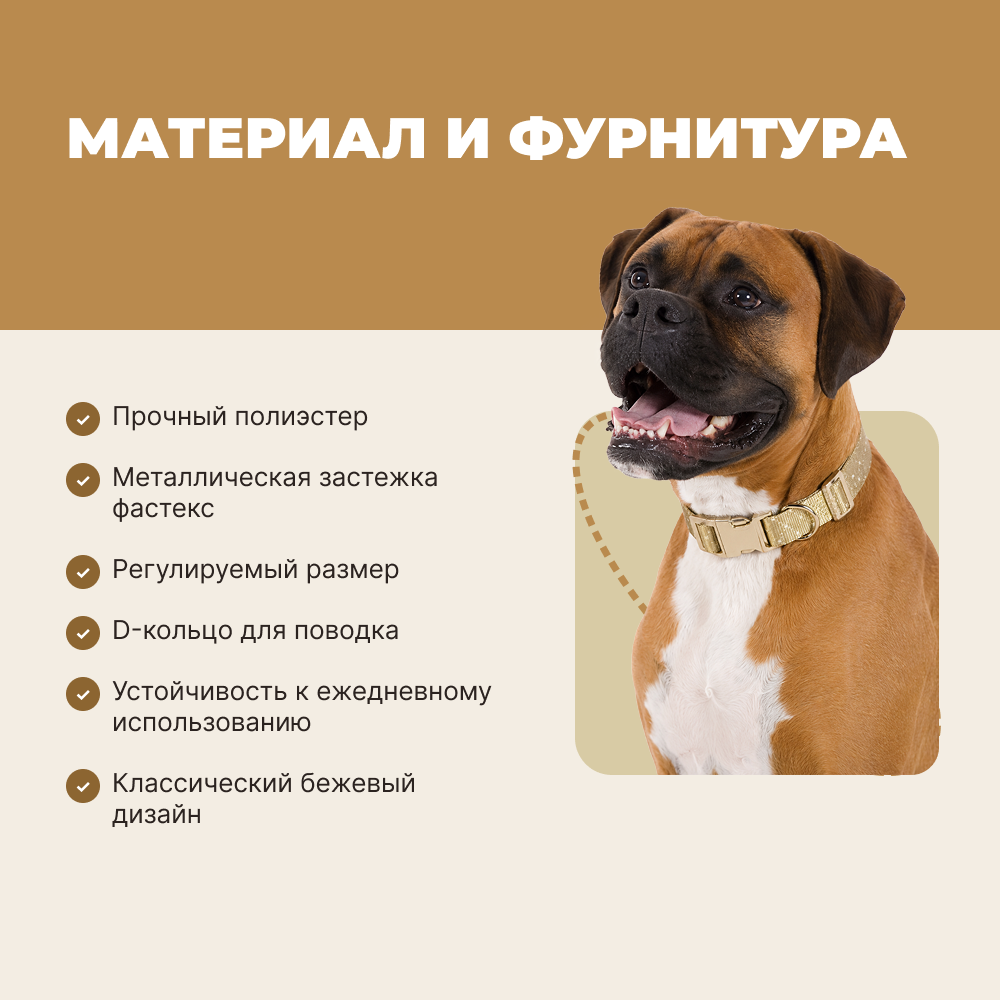 Ошейник для собак FOXIE Beige L 2,5х40-55см бежевый