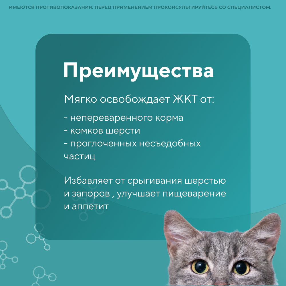 Паста для кошек VEDA My Totem Malt для выведения шерсти с пребиотиком 75мл