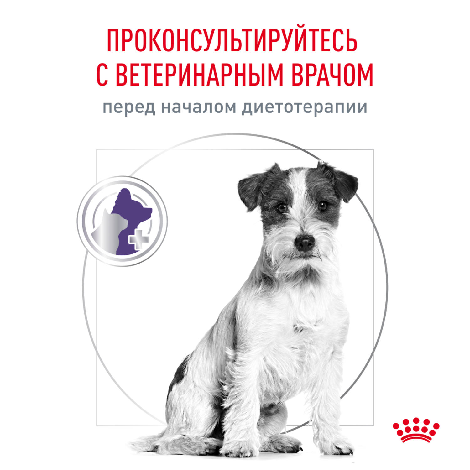 Корм для собак ROYAL CANIN Neutered Adult Small Dog для стерилизованных и кастрирированных мелких пород сух.