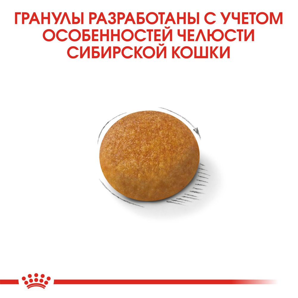 Корм для кошек ROYAL CANIN Siberian сибирской породы от 12 месяцев сух.