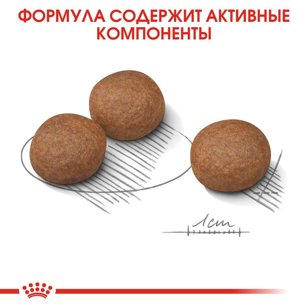 Корм для собак ROYAL CANIN Medium Digestive Care для средних пород с чувств.пищеварением сух.