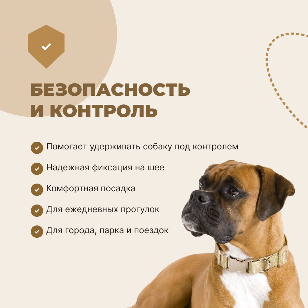 Ошейник для собак FOXIE Beige L 2,5х40-55см бежевый