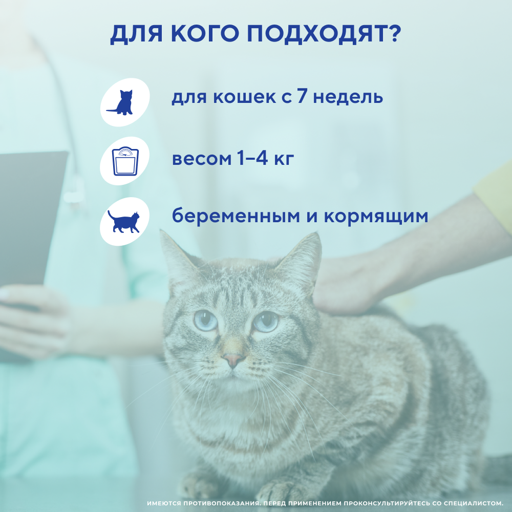 Капли на холку для кошек INSPECTOR Quardo от клещей, блох и глистов 1-4кг