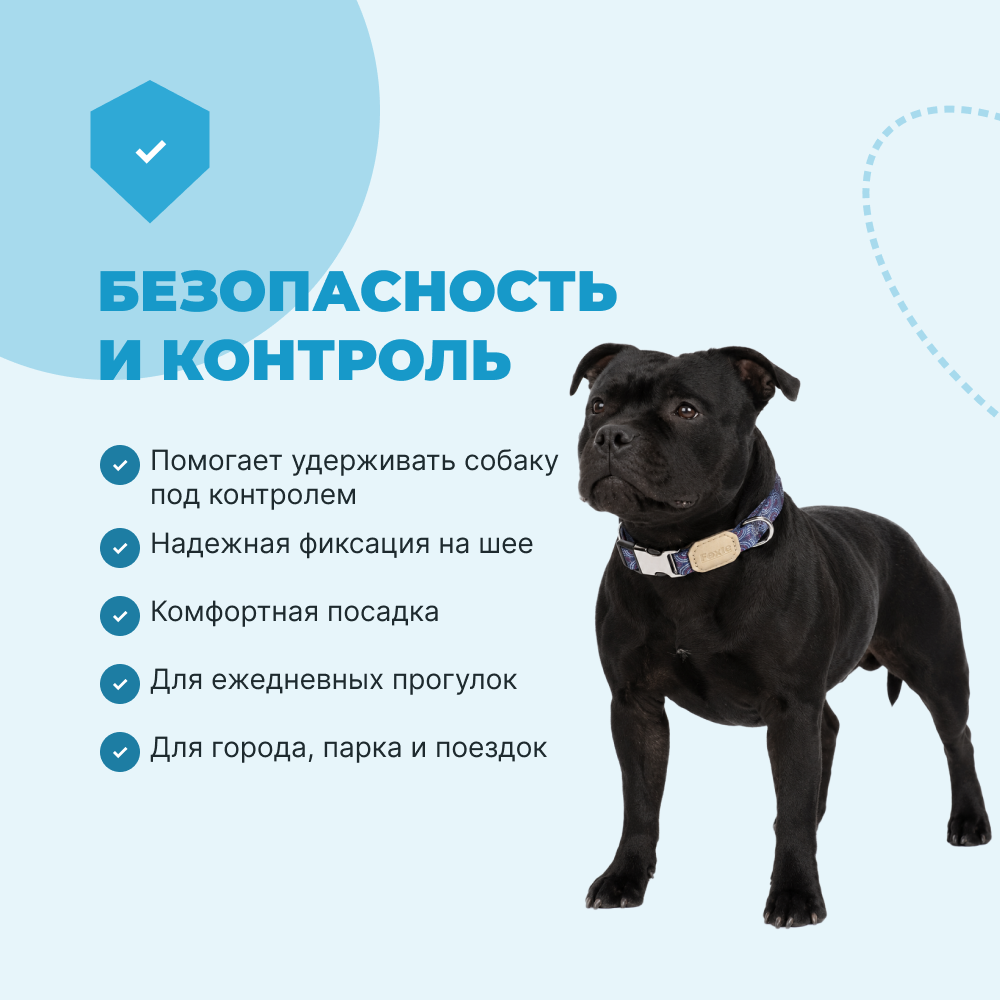 Ошейник для собак FOXIE Splashes L 2,5х40-55см голубой