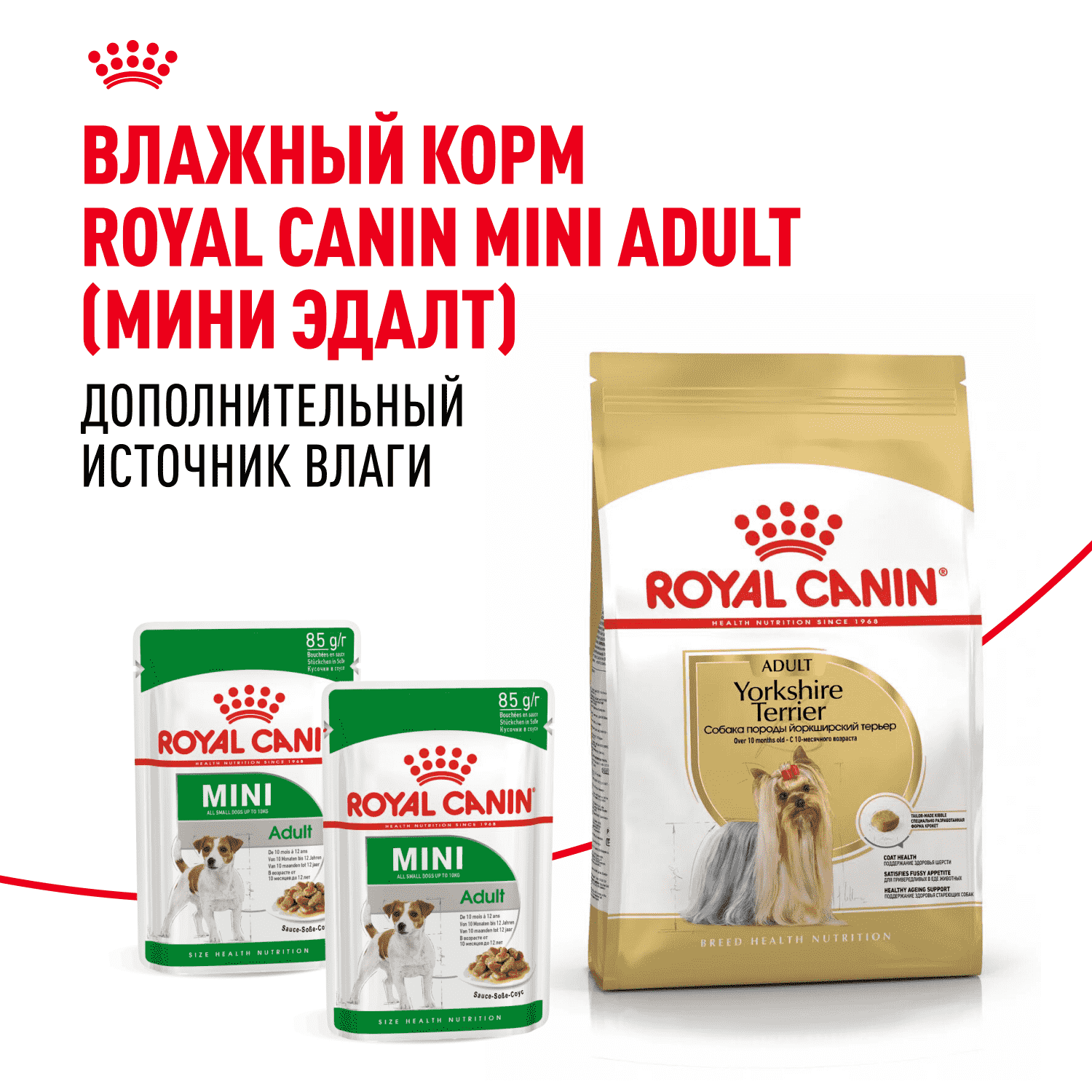 Корм для собак ROYAL CANIN Yorkshire Terrier Adult для породы йоркширский терьер от 10 мес. сух.