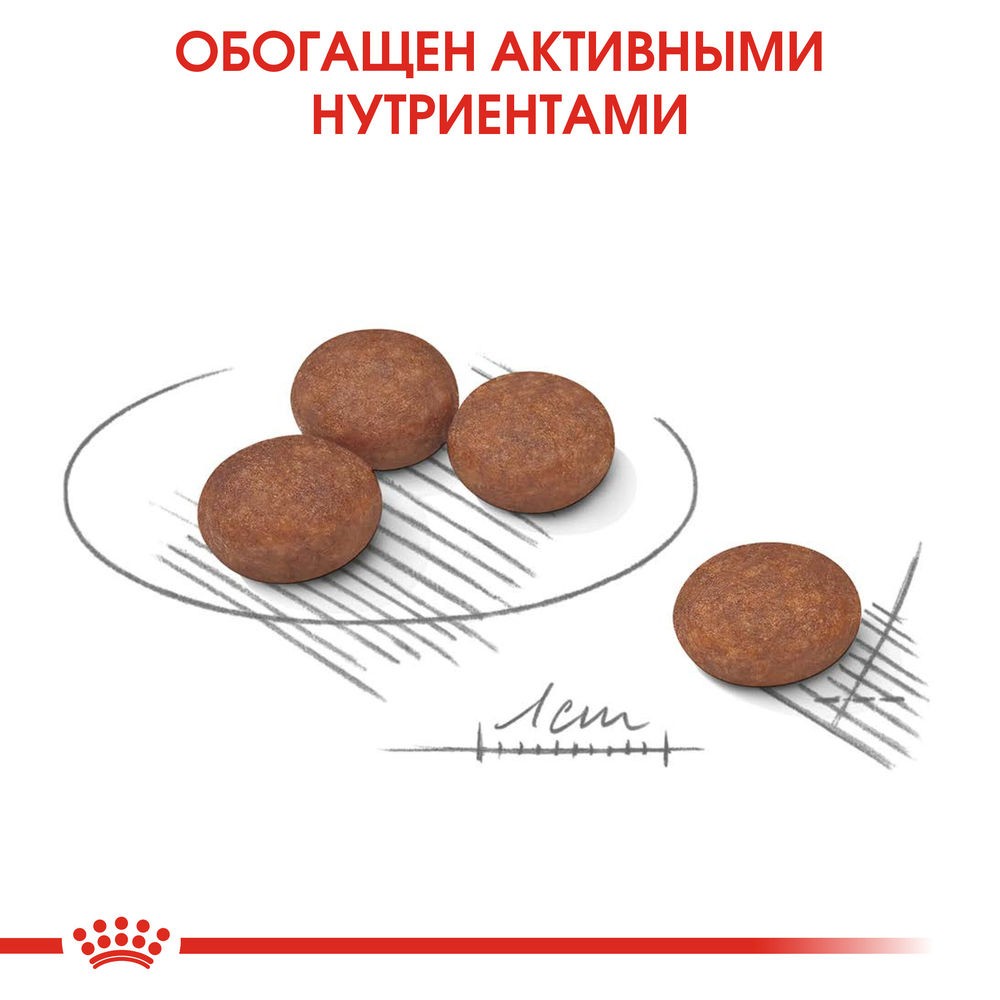 Корм для собак ROYAL CANIN Mini Digestive\Sensible Care сух.
