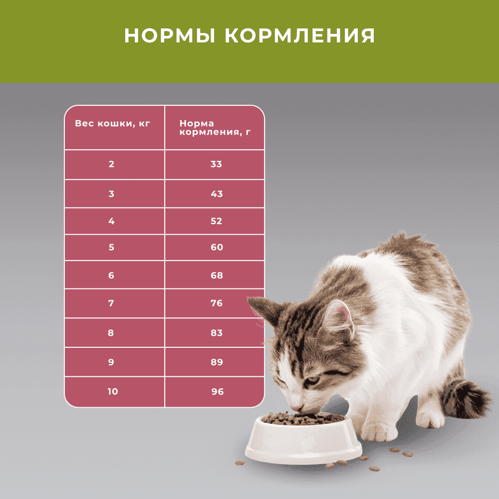 Корм для кошек ELATO Holistic ягненок с олениной сух.