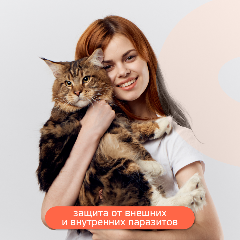 Капли для кошек KRKA Селафорт от ушн и чесоточ.клещей, блох, гельм 7,6-10,0кг, 1мл (60мг), 1 уп.