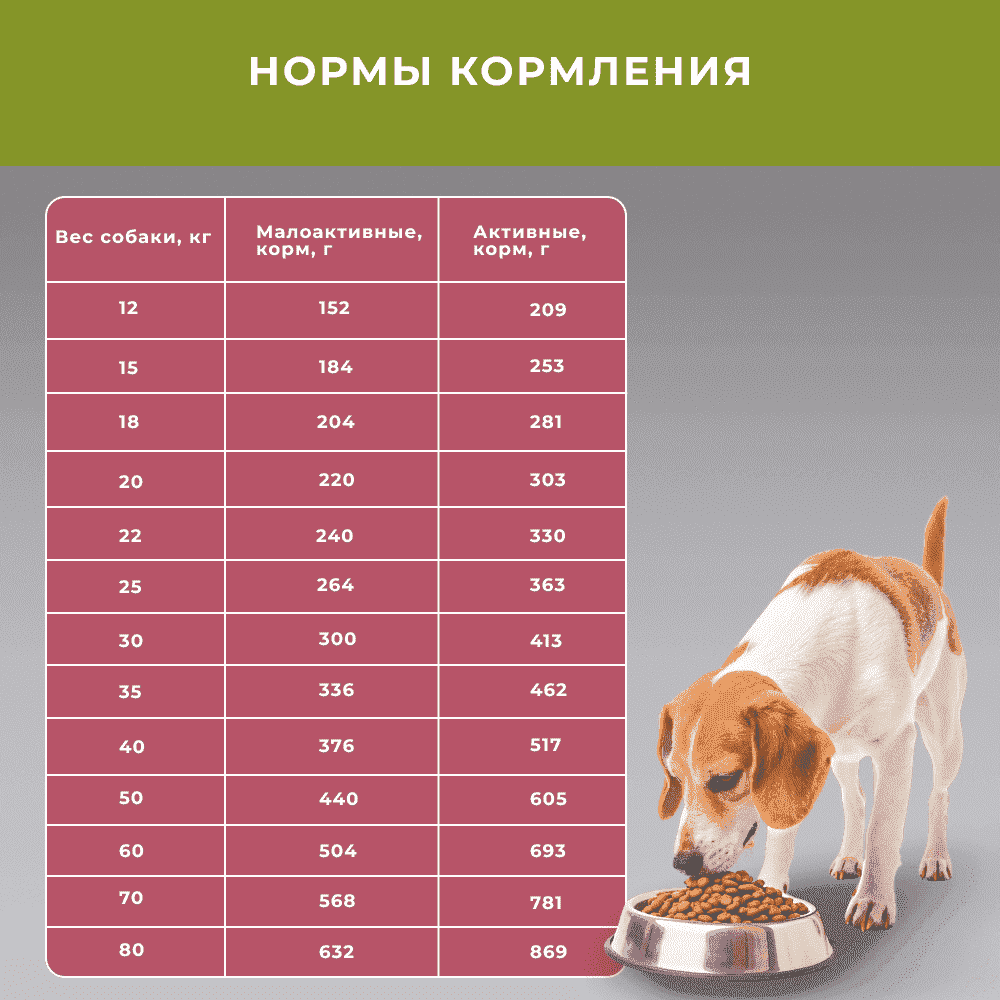 Корм для собак ELATO Holistic для средних и крупных пород, ягненок с олениной сух.