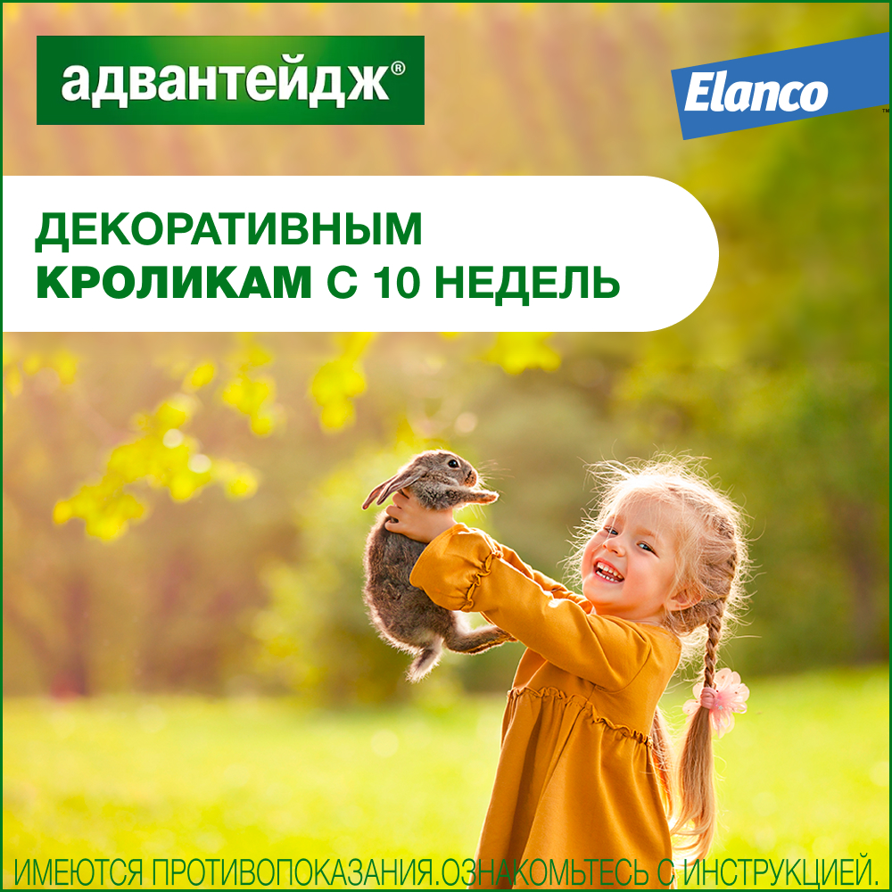 Капли для котят и кошек ELANCO Адвантейдж от блох  (до 4кг), 1 пипетка в упаковке 0,4мл