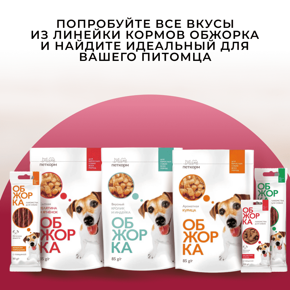 Корм для собак ОБЖОРКА кусочки в соусе с говядиной пауч