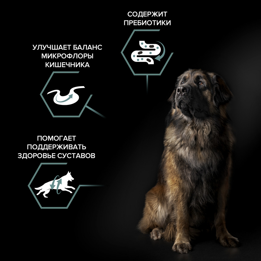 Корм для собак PRO PLAN Opti digest для крупн.пород мощн.телослож. с чув.пищ., с ягненком сух.