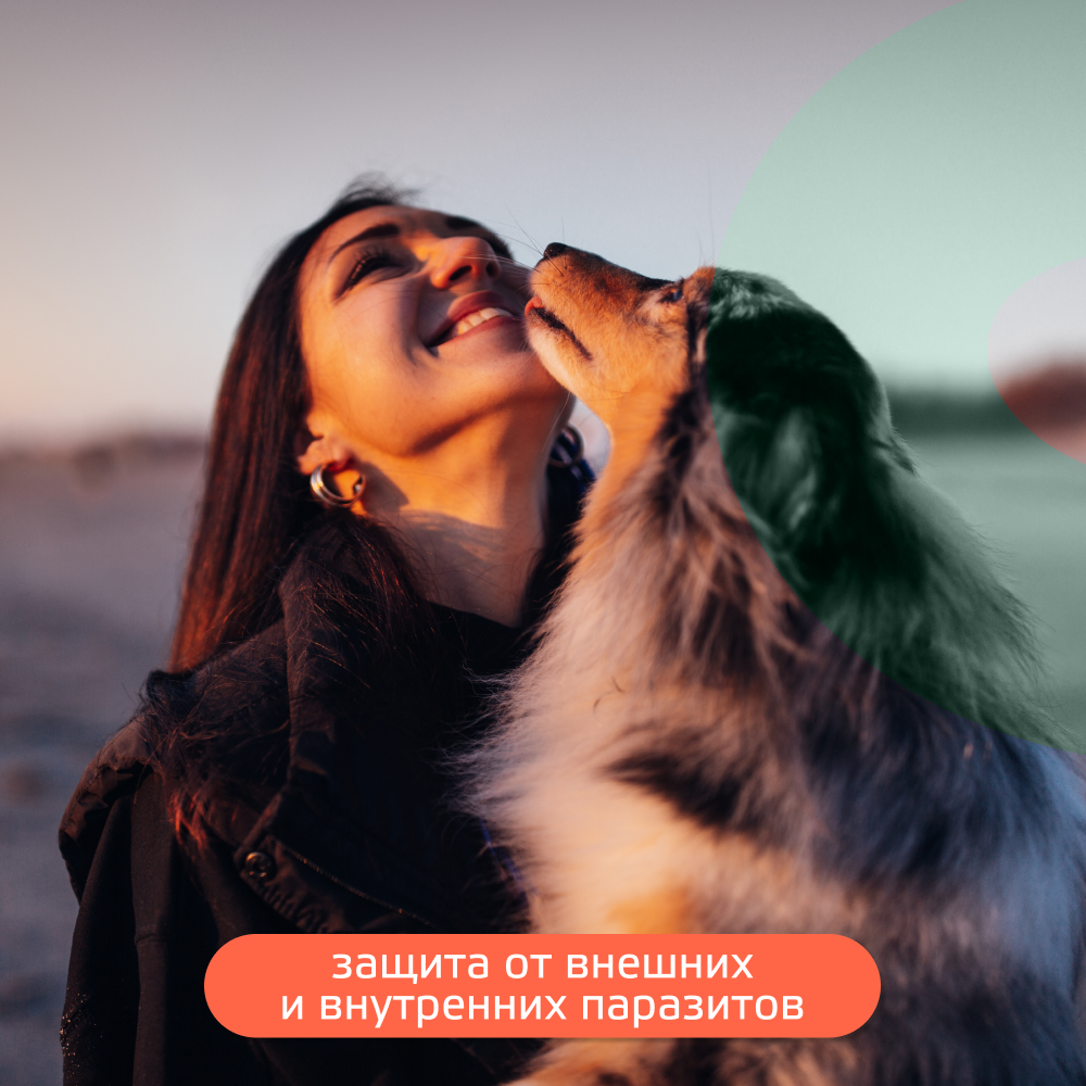 Капли для собак KRKA Селафорт от ушных и чесоточ.клещей, блох, гельминтов 20,1-40кг (240мг) 1 уп.
