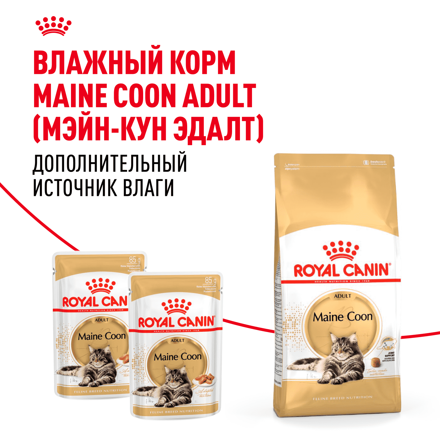 Корм для кошек ROYAL CANIN Maine Coon сбалансированный для породы мэйн кун сух.
