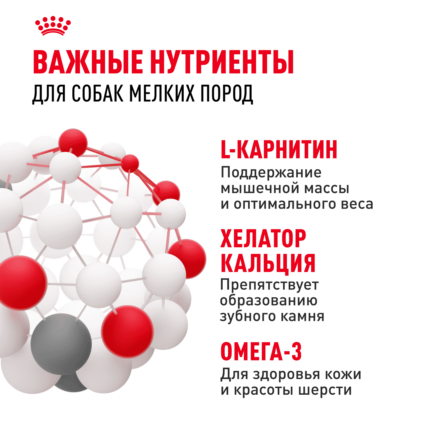 Корм для собак ROYAL CANIN Mini Adult для мелких пород от 10 месяцев сух.