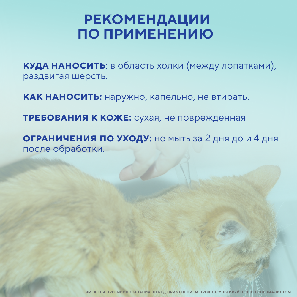 Капли на холку для кошек INSPECTOR Quadro от клещей, блох и глистов 1-4кг 3 пипетки