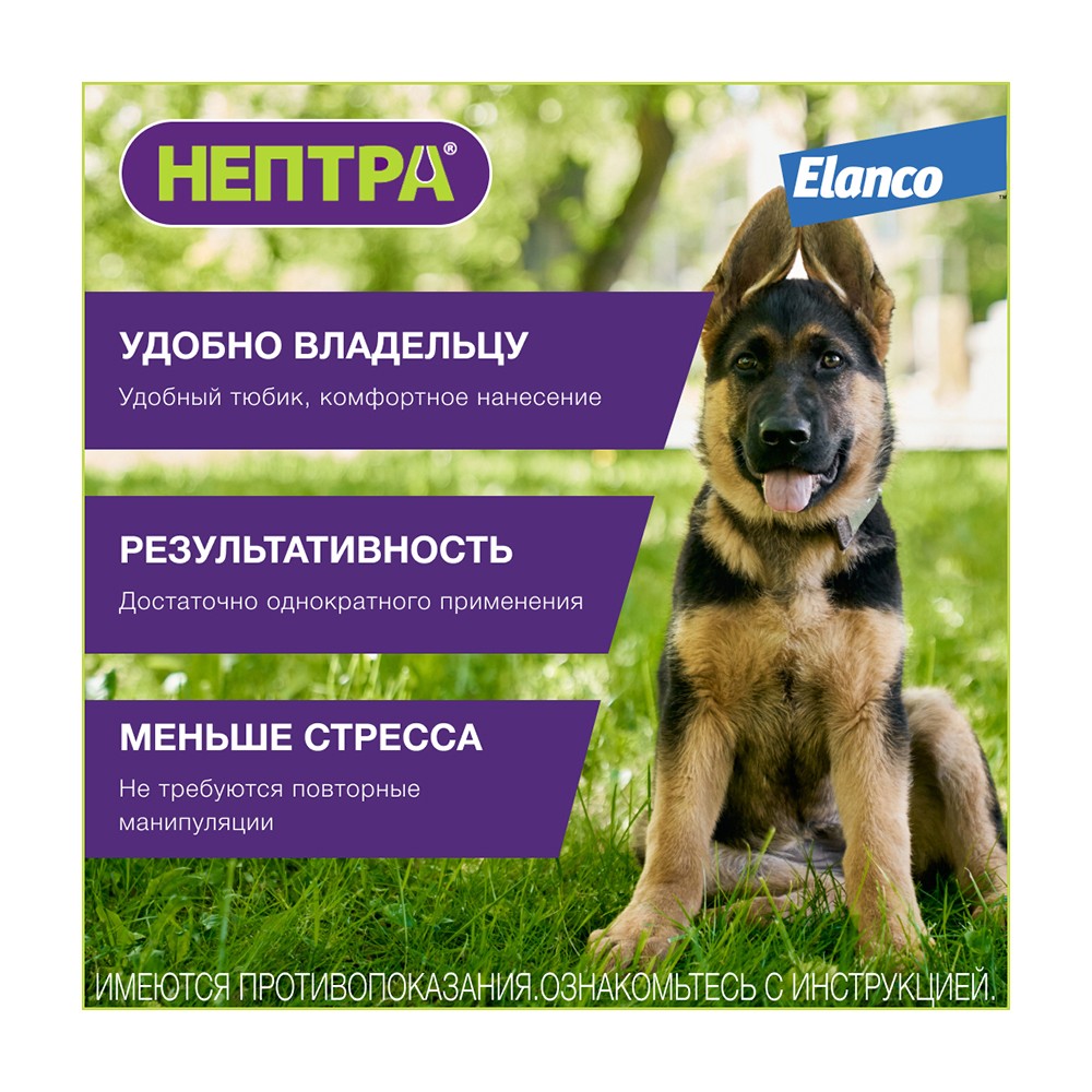 Раствор для собак ELANCO Нептра для лечения отита 2 пипетки 1мл (рецепт)