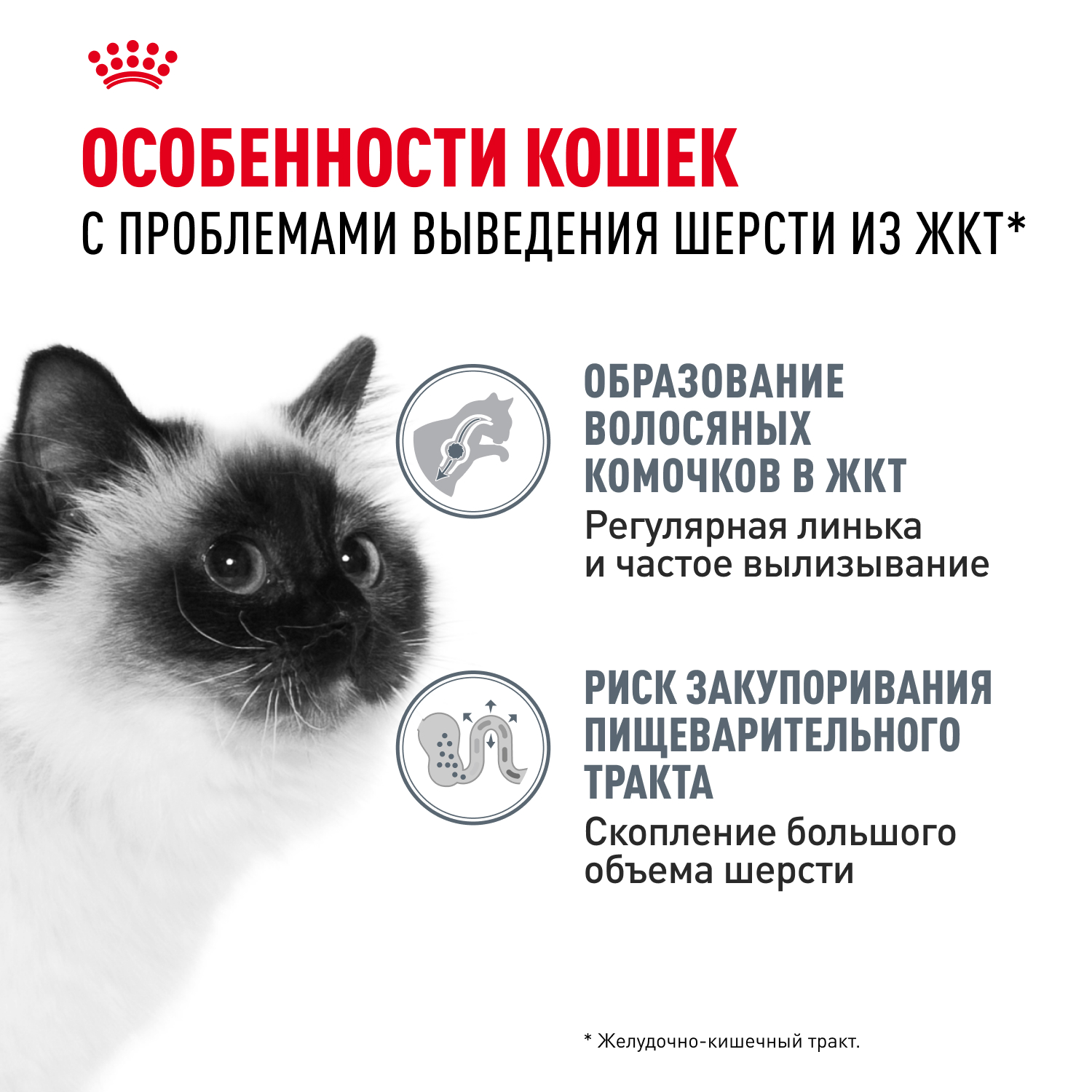 Корм для кошек ROYAL CANIN Hairball Care для профил.образования волосяных комочков, соус пауч