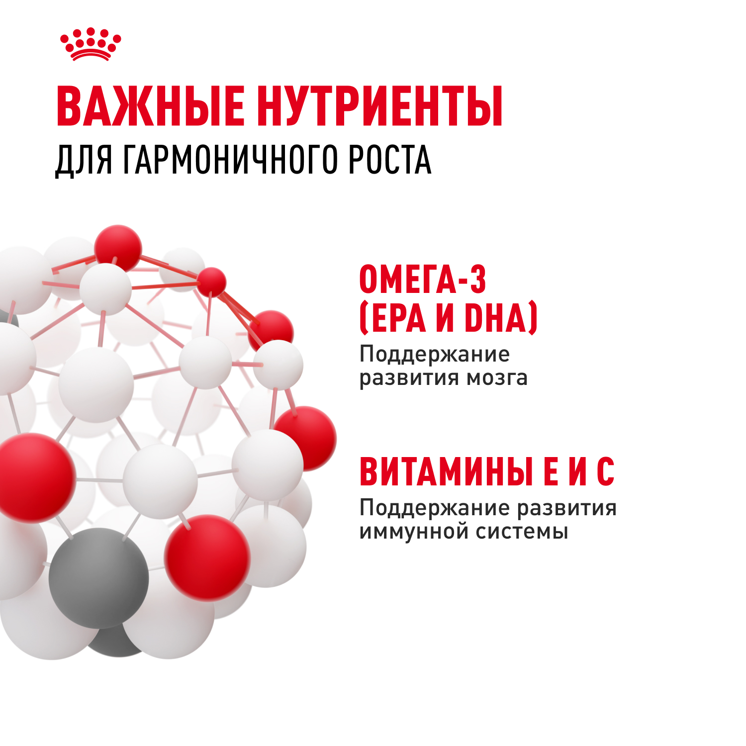 Корм для котят ROYAL CANIN в период третьей фазы роста, мясо в желе пауч