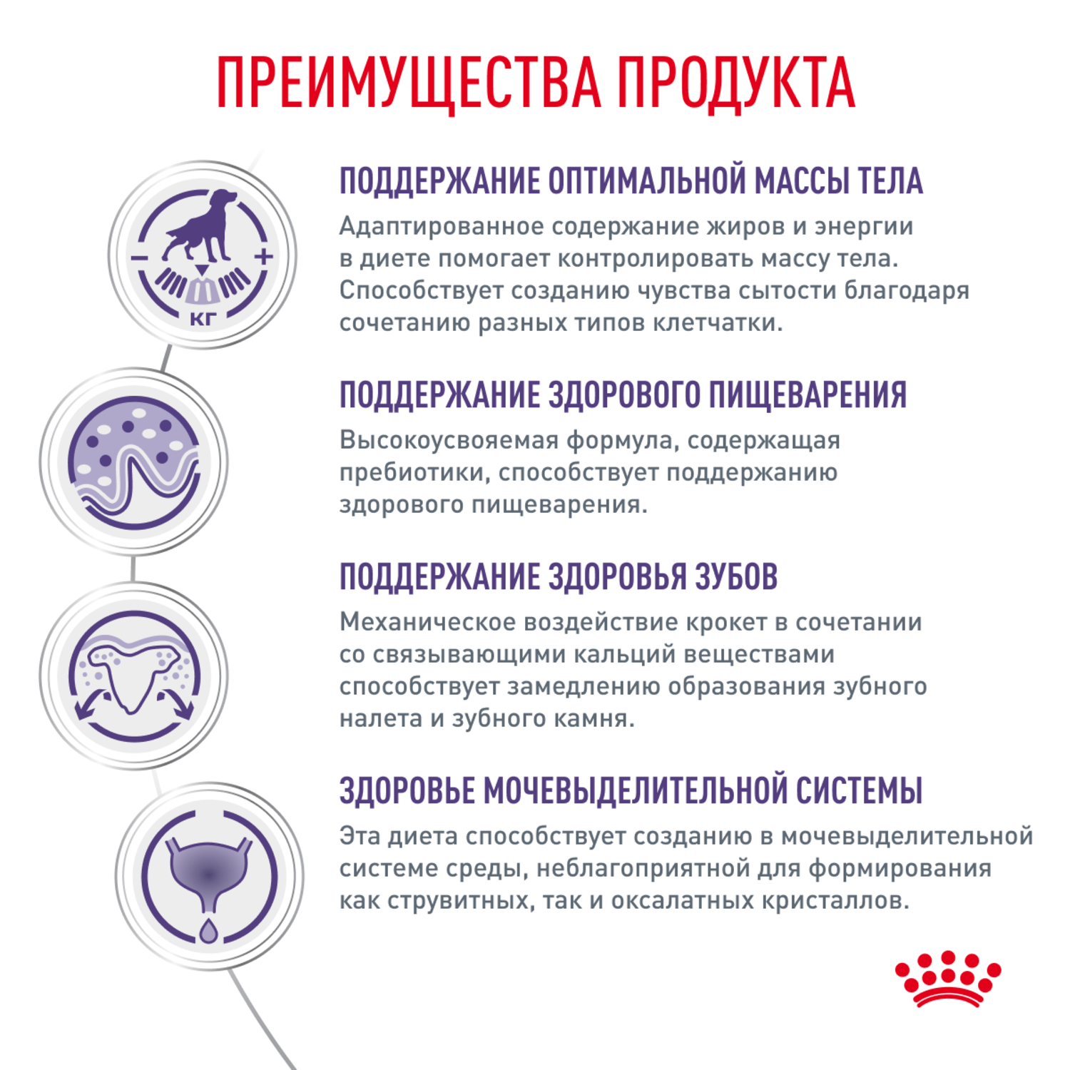 Корм для собак ROYAL CANIN Neutered Adult Small Dog для стерилизованных и кастрирированных мелких пород сух.