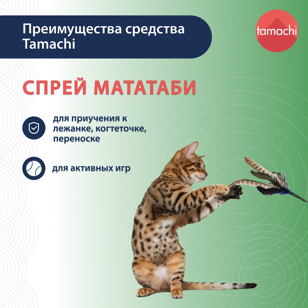 Спрей для кошек TAMACHI с мататаби для снятия стресса и привлеч. к  игрушкам, переноскам, лежанкам и пр. 125мл купить в интернет-магазине  Бетховен