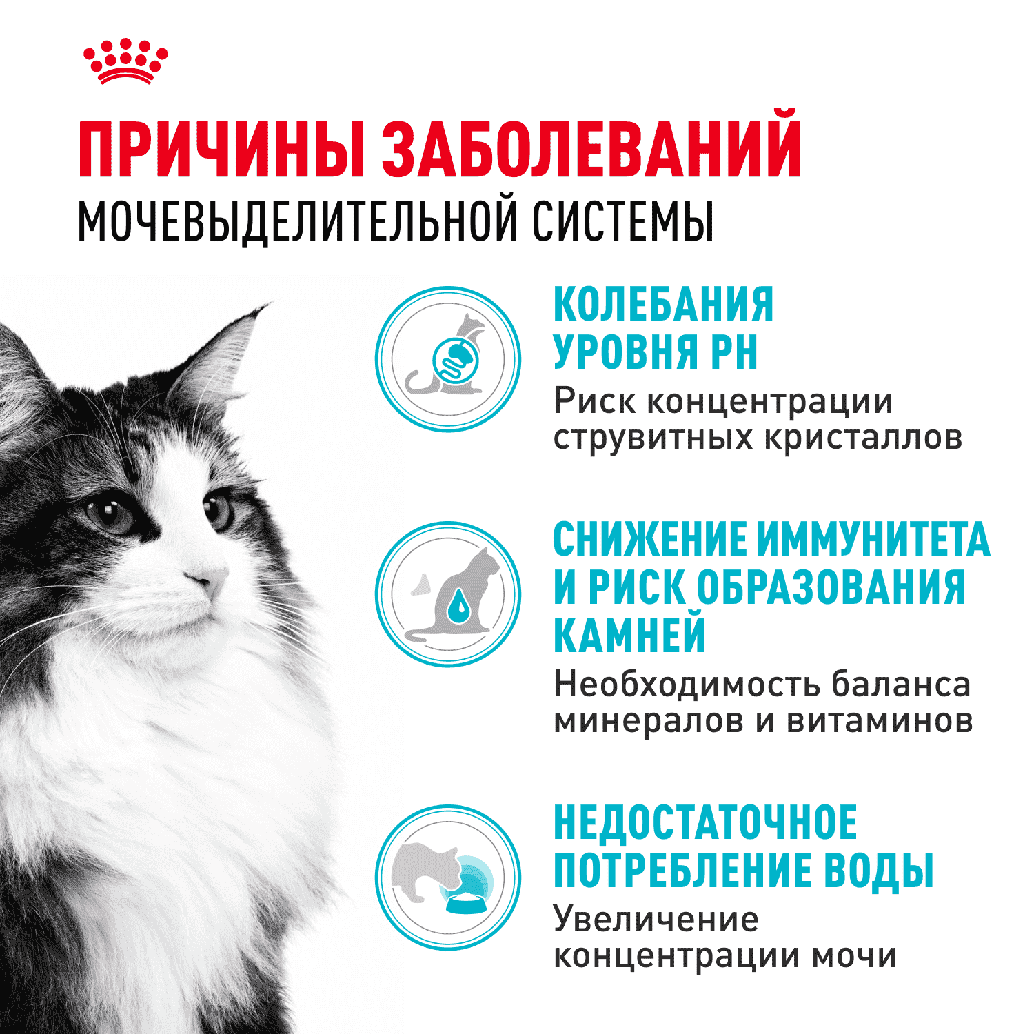 Корм для кошек ROYAL CANIN Urinary Care, птица сух.