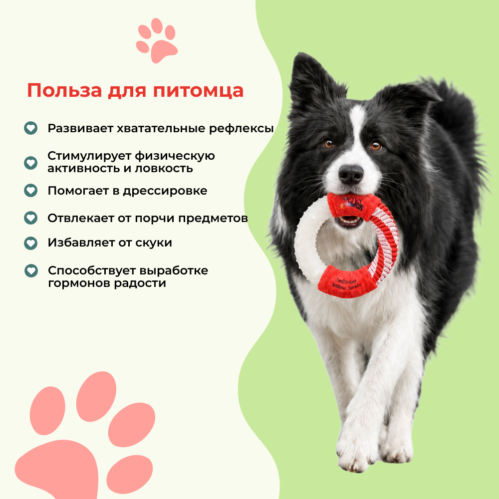 Игрушка для собак FOXIE Multi Кольцо светящееся в темноте 16х3,2см
