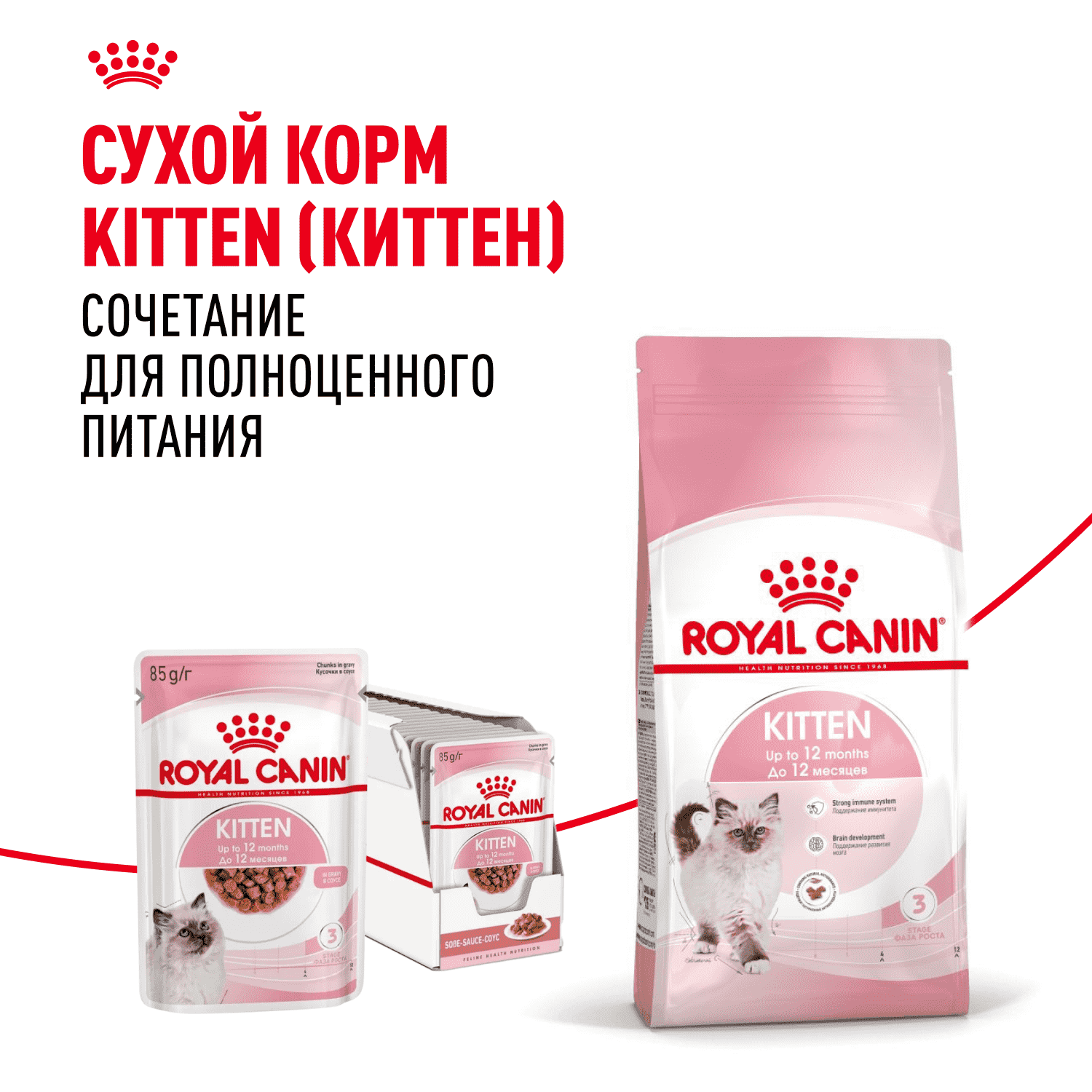 Корм для котят ROYAL CANIN в период третьей фазы роста до 12 месяцев, мясо в соусе пауч
