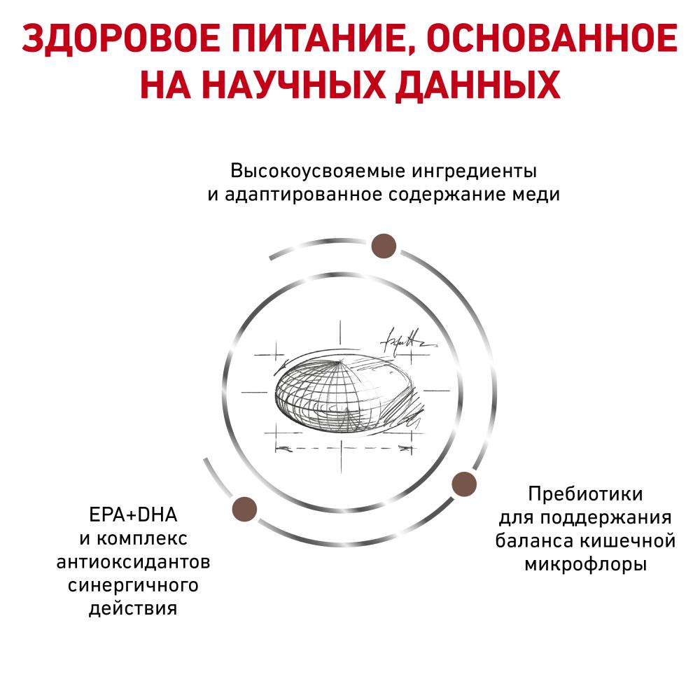 Диета и питание при холестазе – полезные и опасные продукты