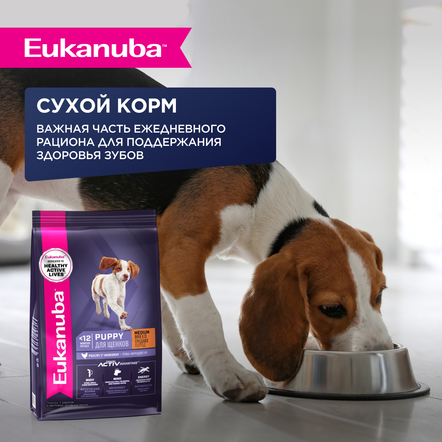 Корм для щенков EUKANUBA курица в соусе пауч
