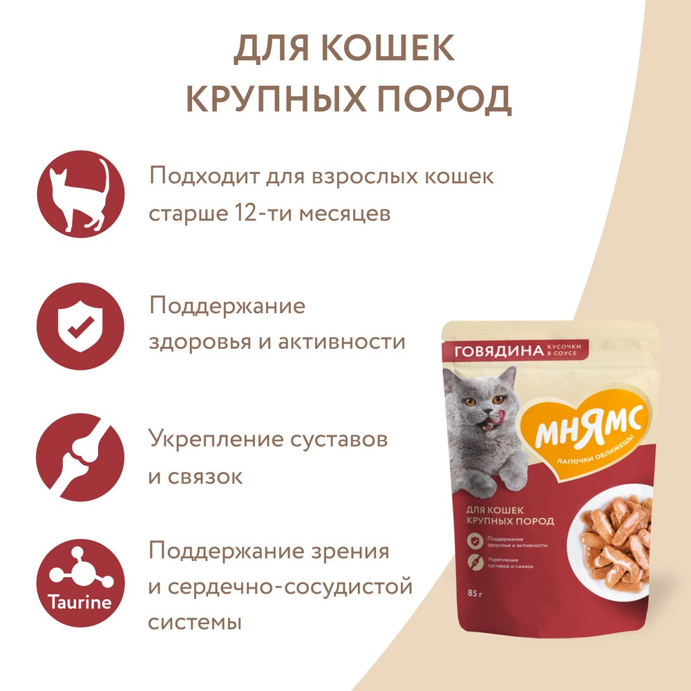 Корм для кошек МНЯМС для крупных пород, кусочки в соусе с говядиной пауч