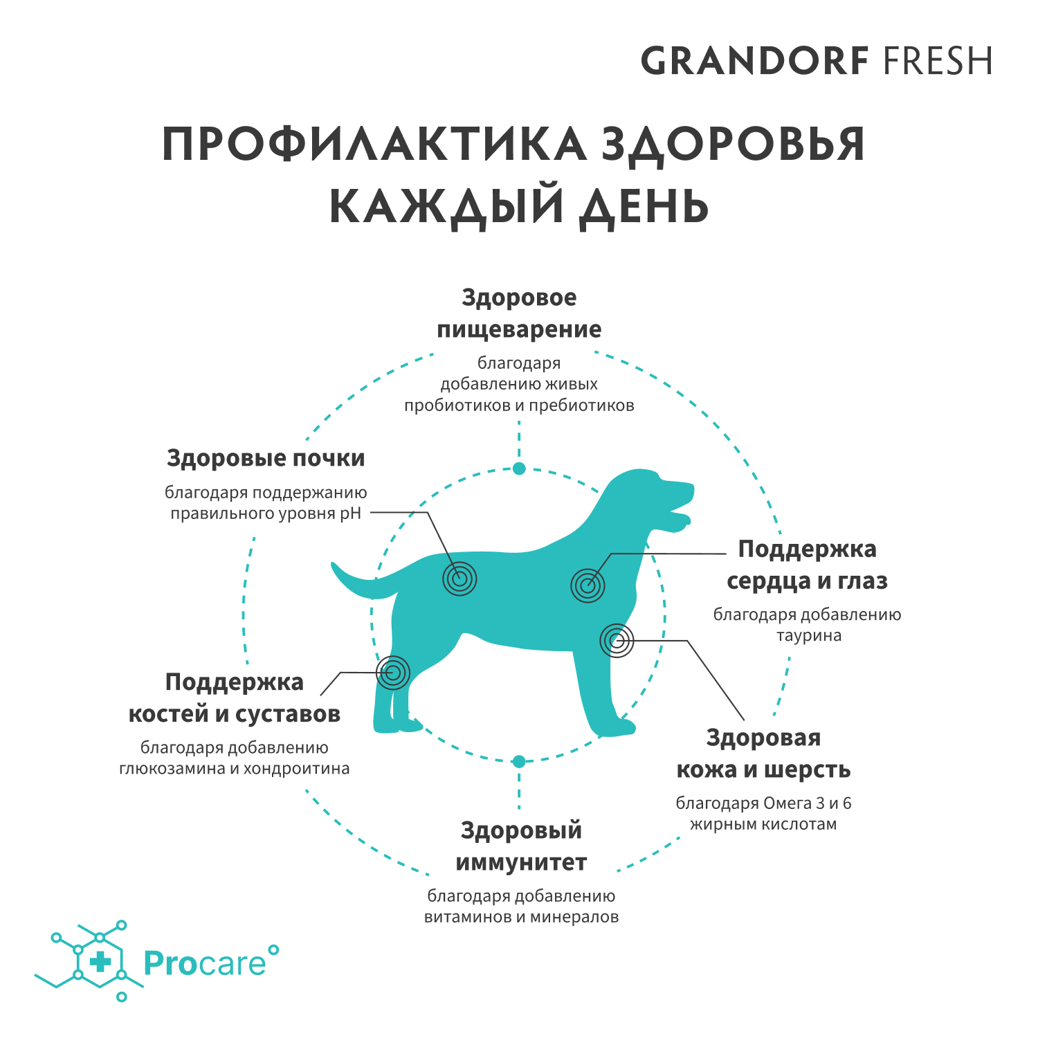 Беззерновой корм с живыми пробиотиками для собак GRANDORF Fresh Dog Med&Maxi для ср.и кр.пород, свежее мясо утки с бататом сух.