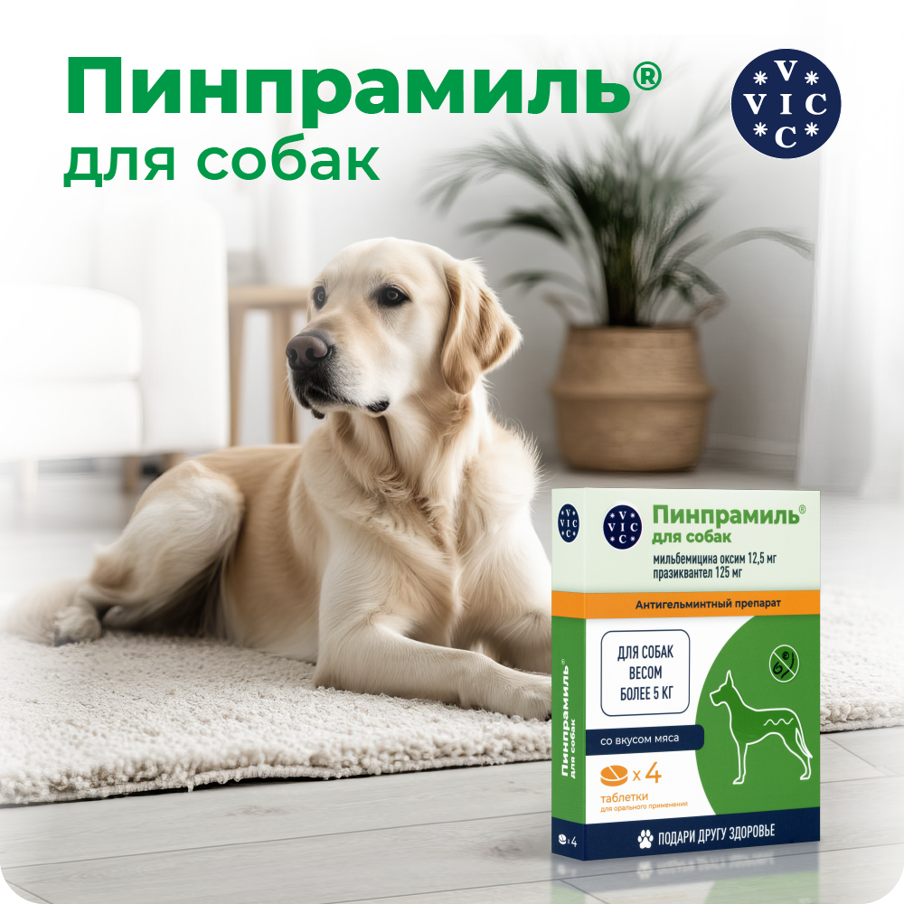 Антигельминтик VIC Пинпрамиль для собак весом более 5кг, 4 таб.