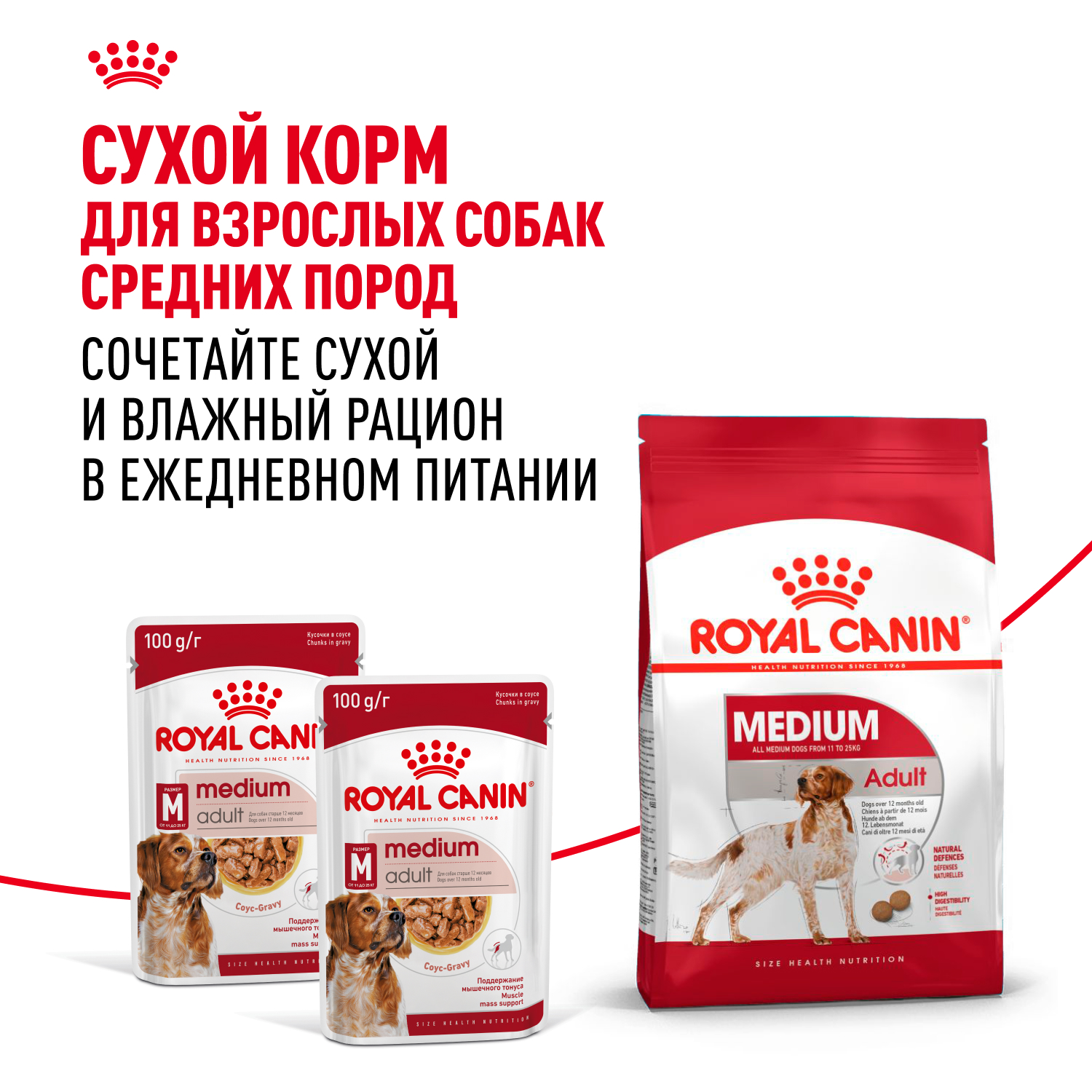 Корм для собак ROYAL CANIN Medium для средних пород, кусочки в соусе пауч