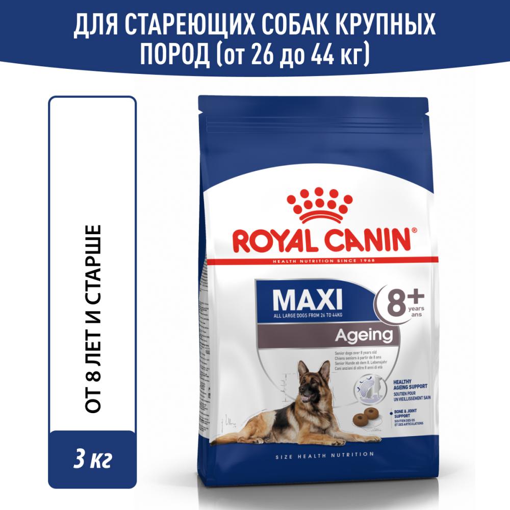 Корм для собак ROYAL CANIN Size Maxi Ageing для крупных пород старше 8 лет сух.
