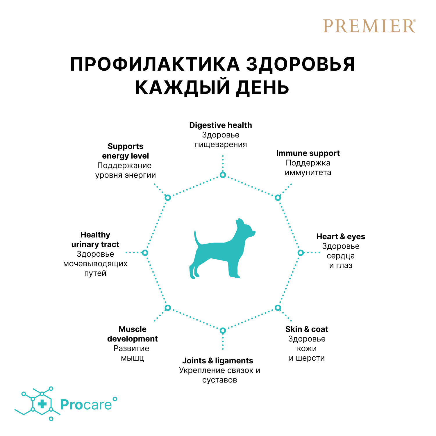 Корм для собак PREMIER Dog для собак мелких пород, свежее мясо ягненка с индейкой сух.