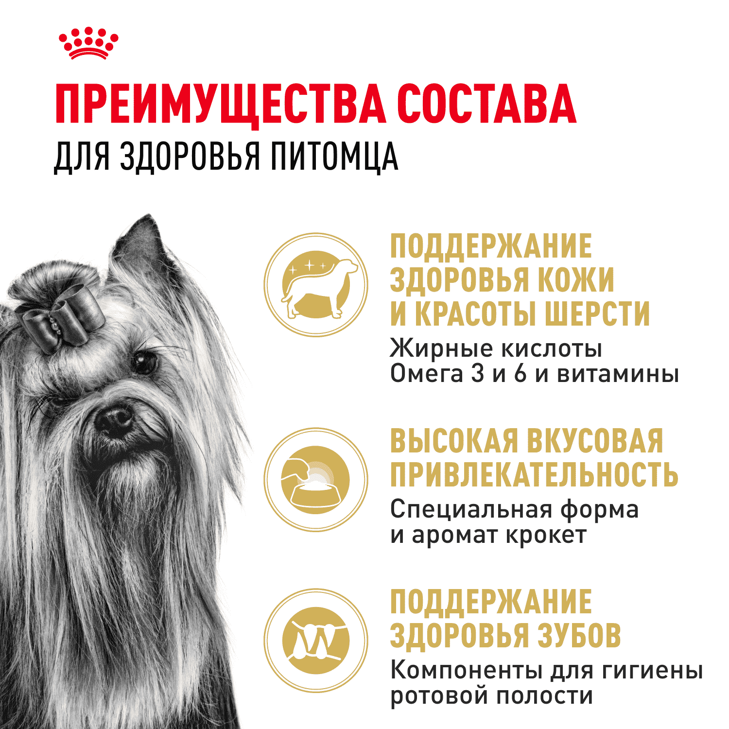 Корм для собак ROYAL CANIN Yorkshire Terrier Adult для породы йоркширский терьер от 10 мес. сух.