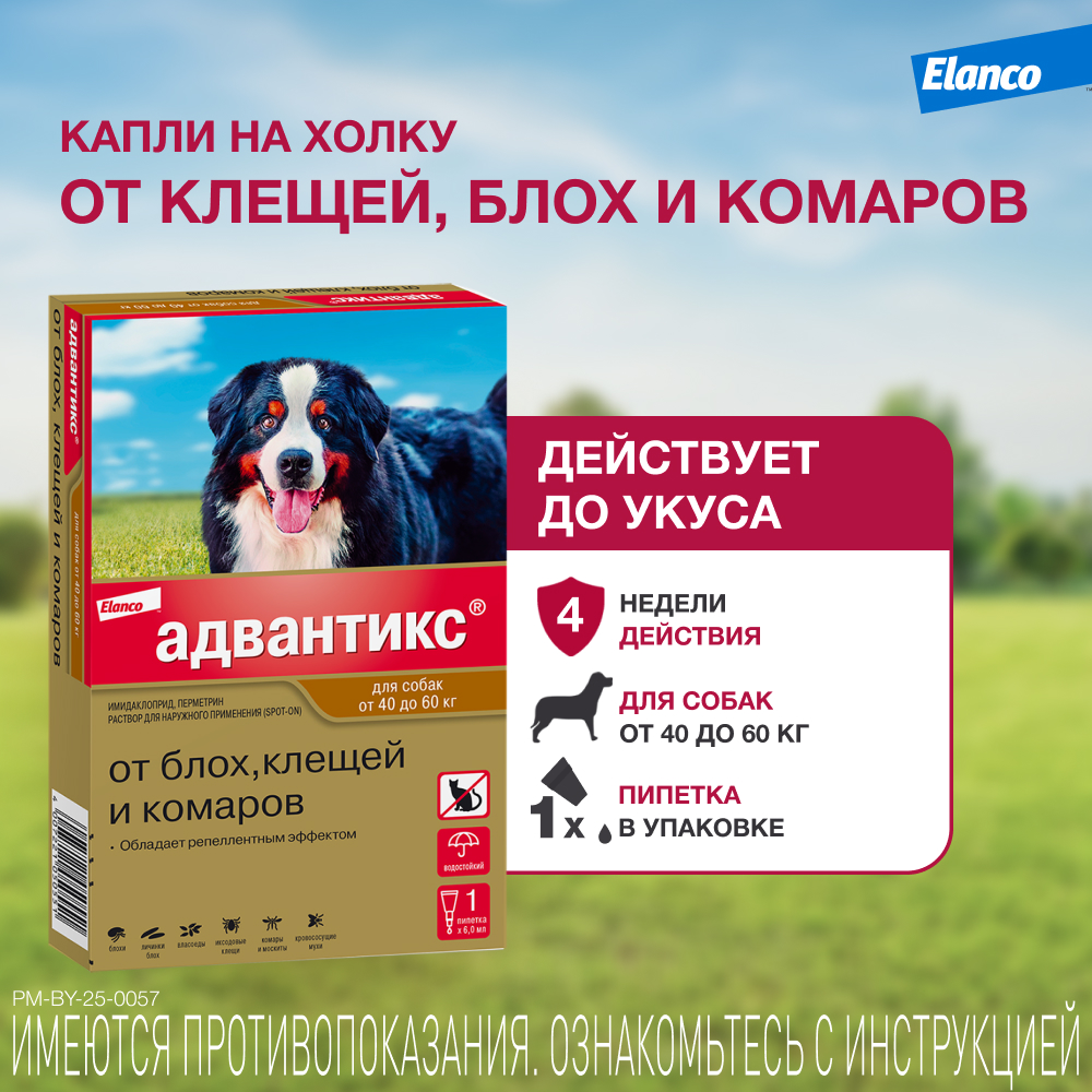 Капли для собак ELANCO Адвантикс от блох, клещей и комаров 600 (40-60кг веса) 1 пипетка в упак.