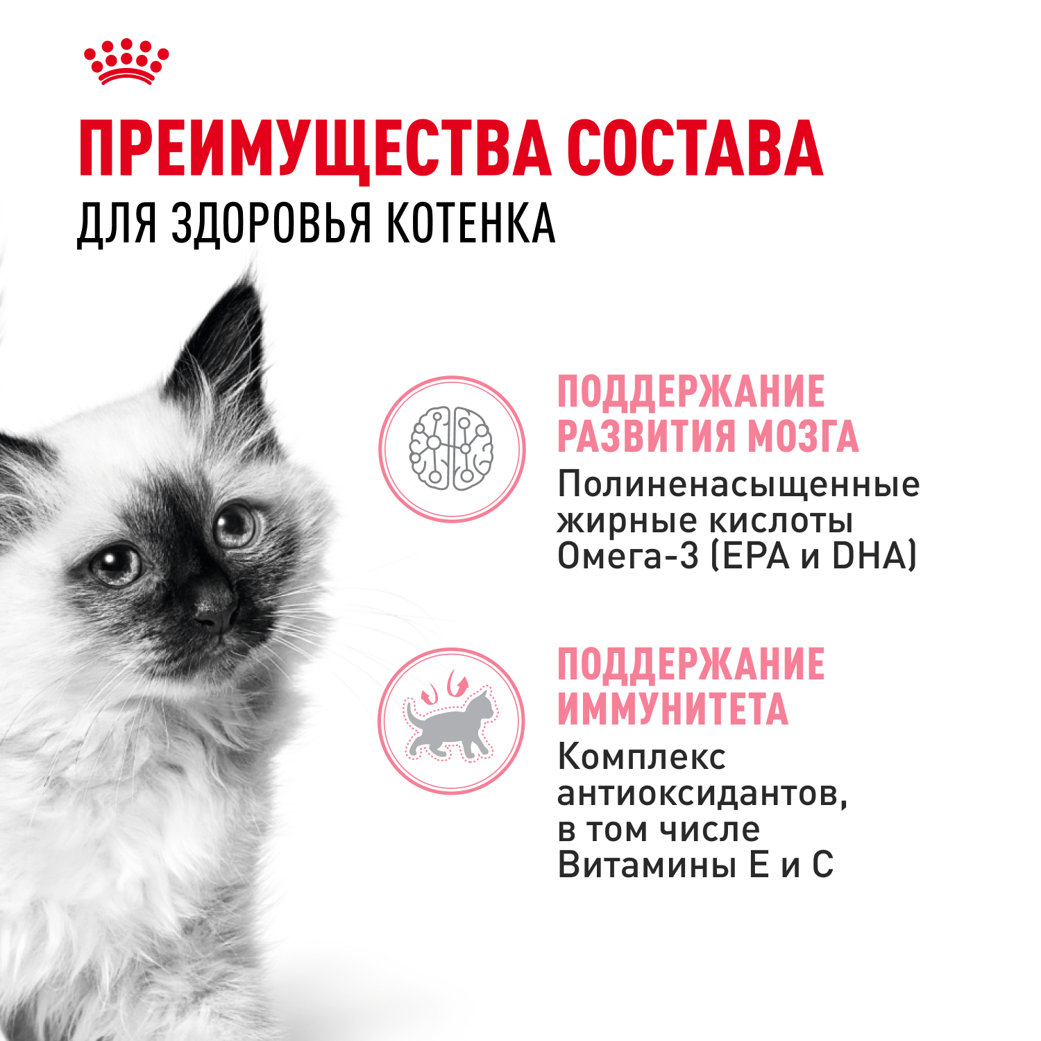 Корм для котят ROYAL CANIN в период третьей фазы роста, мясо в желе пауч