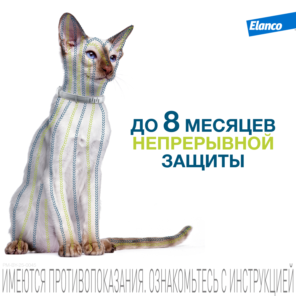 Ошейник для кошек ELANCO Форесто от клещей, блох и вшей, защита 8 месяцев