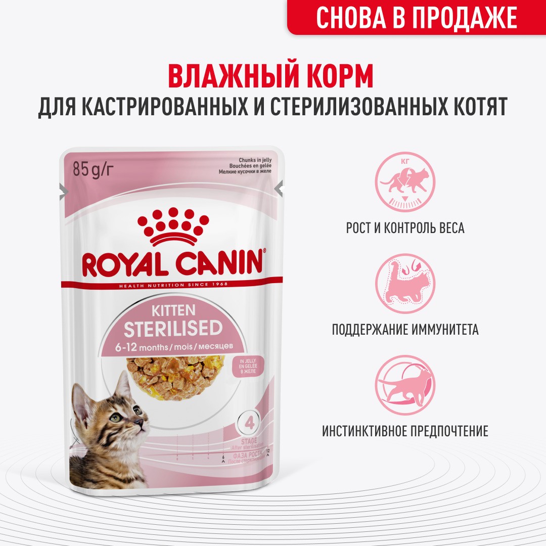 Корм для котят ROYAL CANIN Kitten Sterilised для стерилизованных от 6 мес., кусочки в желе пауч