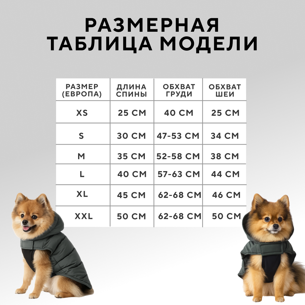 Попона для собак с козырьком FOXIE Frost and sun зеленая