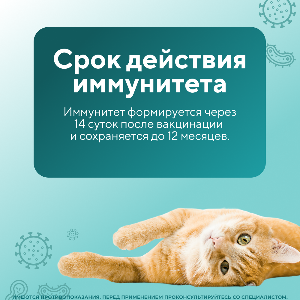 Вакцина для кошек НАРВАК Мультифел-4, 1 доза