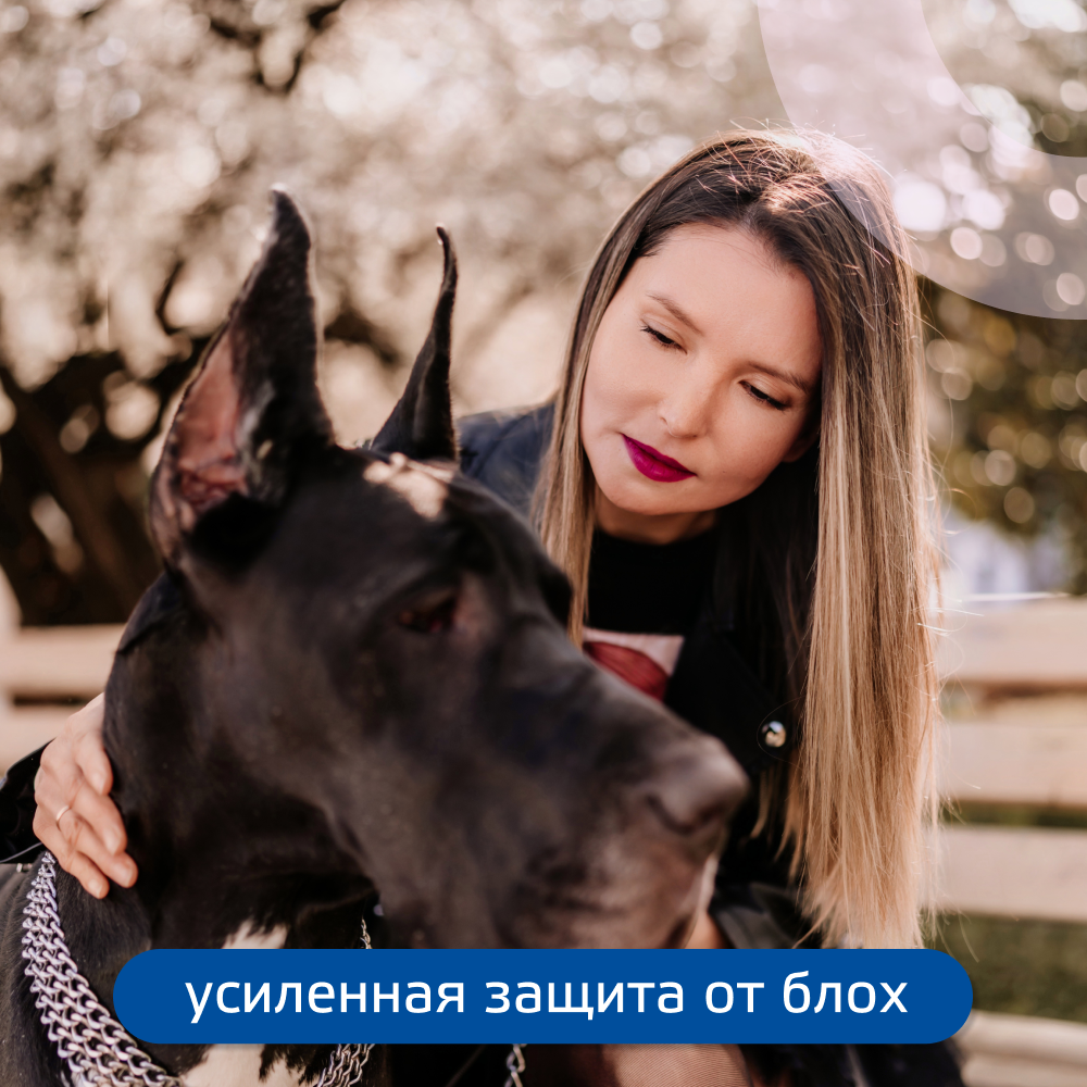 Капли для собак KRKA Фиприст Комбо от клещей и усиленным действием против блох (40-60кг) 4,02мл, 1 пипетка