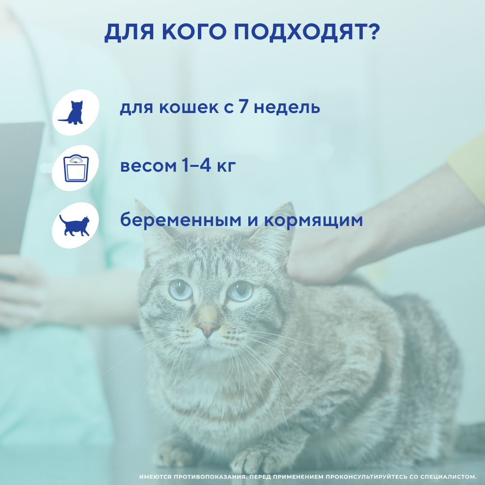 Капли на холку для кошек INSPECTOR Quadro от клещей, блох и глистов 1-4кг 3 пипетки