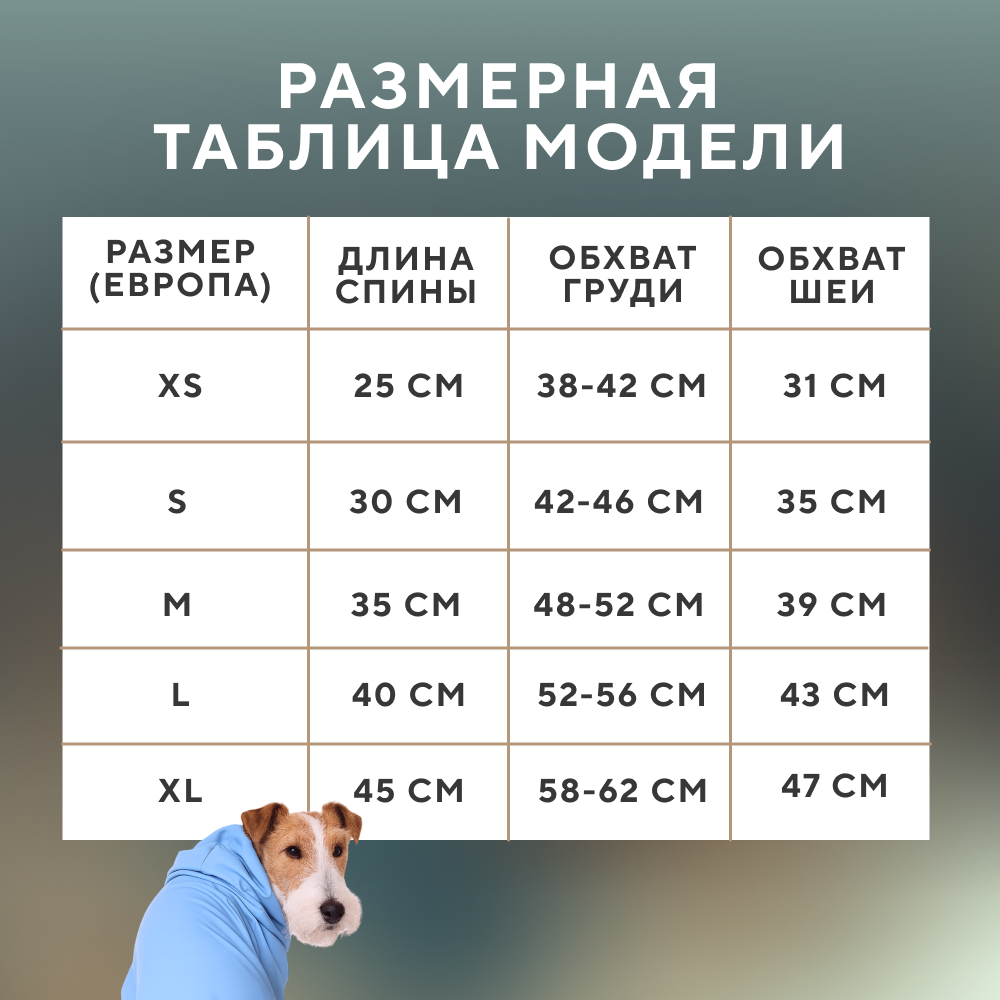 Дождевик для собак FOXIE Rainbow разноцветный