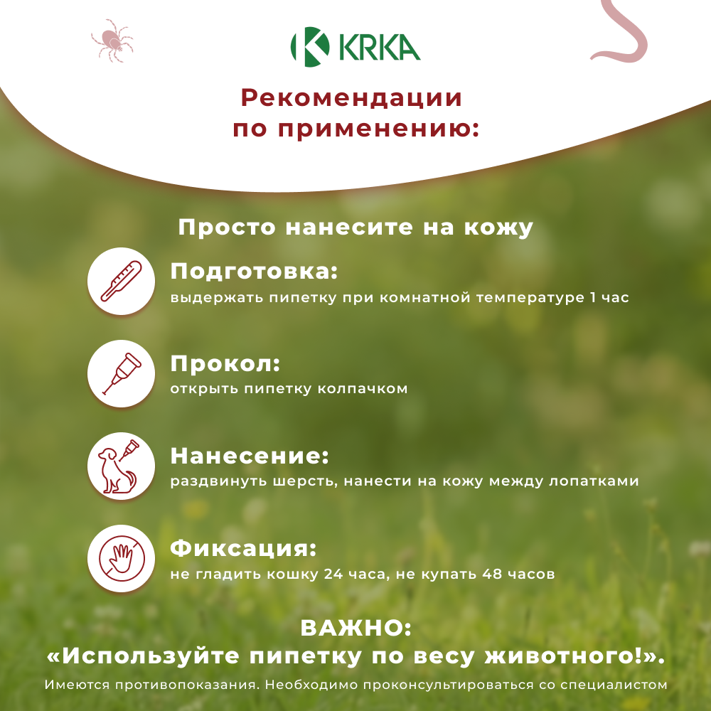 Капли для собак KRKA Фиприст Спот Он 2-10кг 67мг (3 пипетки в упак.)