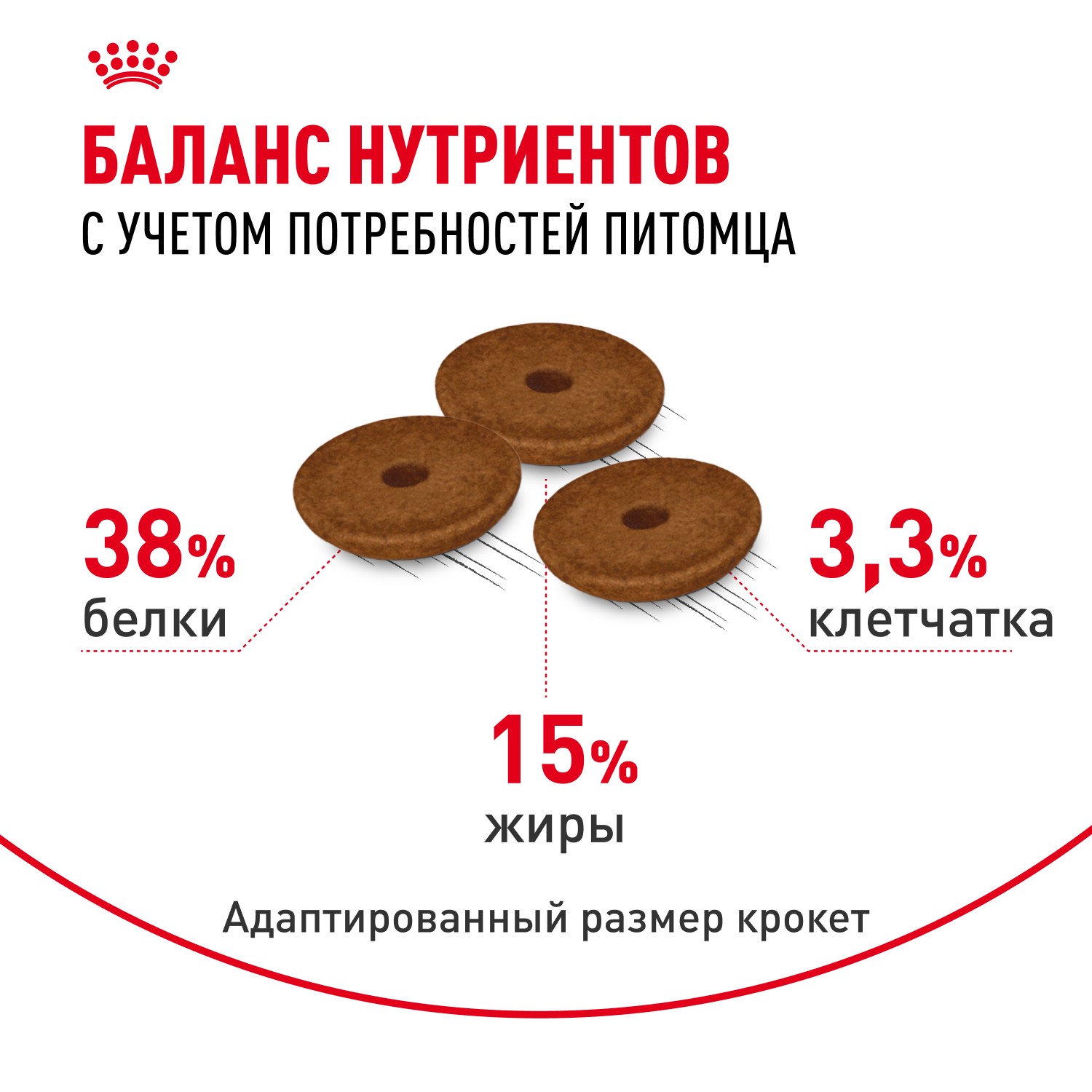 Корм для кошек ROYAL CANIN Digestive Comfort при расстройстве пищеварения сух.