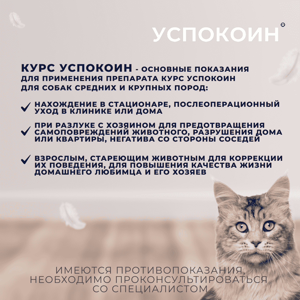 Таблетки для кошек и котят КУРС УСПОКОИН для снижения возбуждения 16 табл.